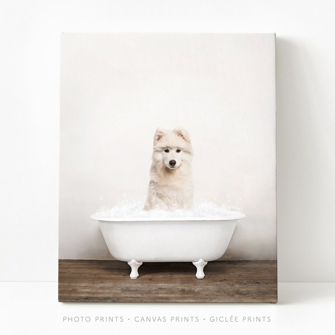 Samoyed Puppy in a Vintage Bathtub, Dog Taking Bath, Dog Art, Bathroom Wall Art, Unframed Print