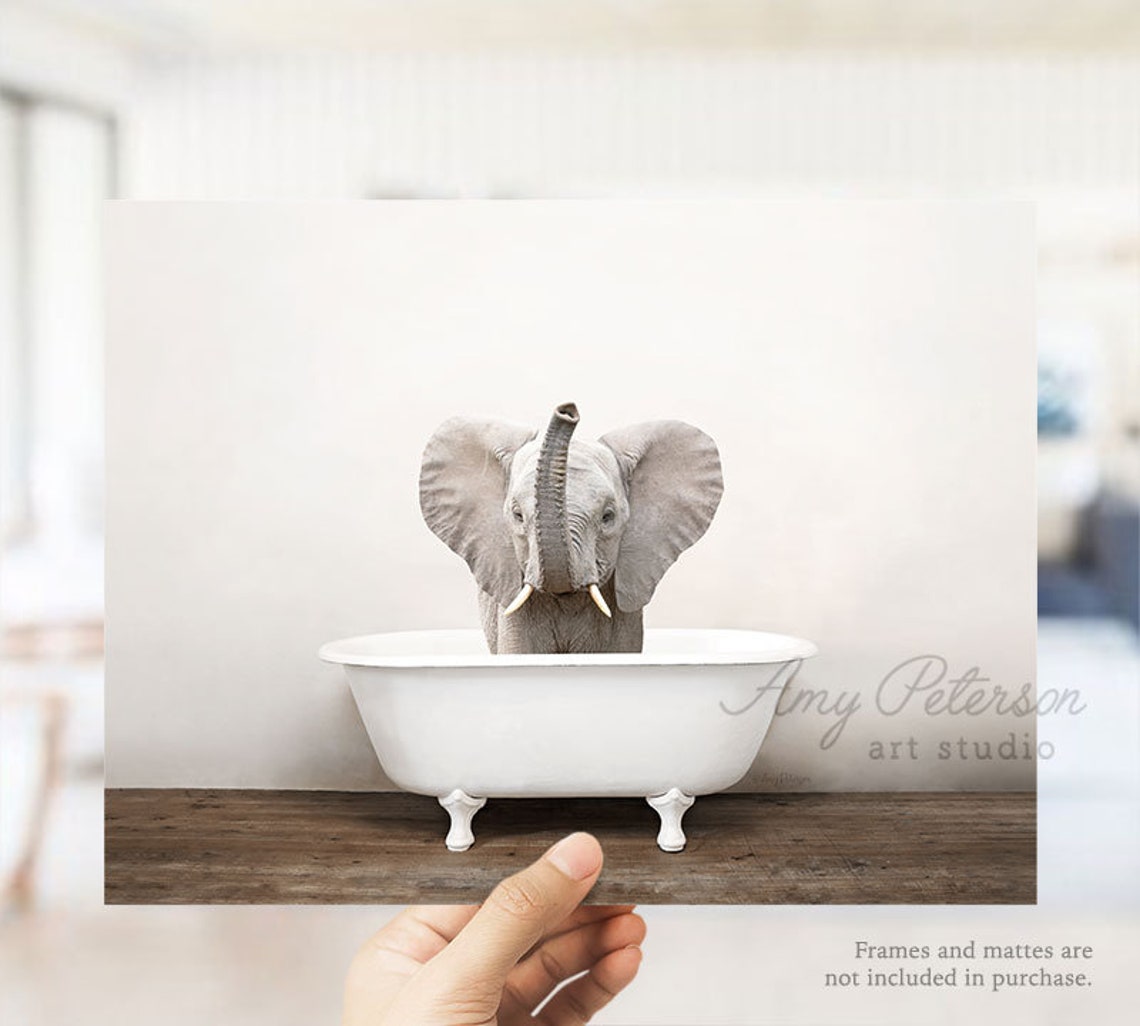 Baby Elephant in a Vintage Bathtub Elephant in Tub Animal in Etsy