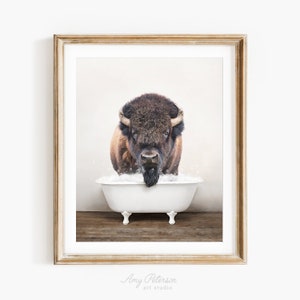 Bison in a Vintage Bathtub, Rustic Bath Style, Bison in Tub, Bathroom Wall Art, Unframed Print, Animal Art by Amy Peterson