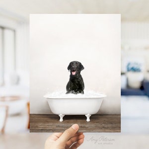 Black Labrador Dog in a Vintage Bathtub, Dog Taking Bath, Dog Art, Bathroom Wall Art, Unframed Print, Animal Art by Amy Peterson image 2