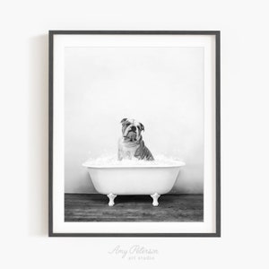 English Bulldog in a Vintage Bathtub, Dog Taking Bath, Dog Art, Bathroom Wall Art, Unframed Print, Animal Art by Amy Peterson