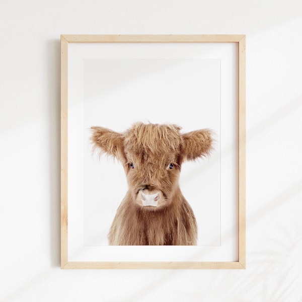 Baby Highland Cow, Baby Animal Nursery Wall Art, Animal Nursery Decor, Baby Animal Wall Art by Amy Peterson