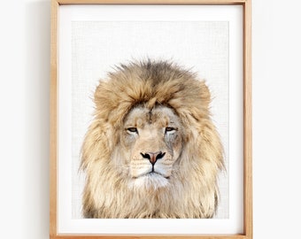 Lion Portrait Photo Print, Portrait of Male Lion, Lion Wall Art, Safari Animal Art, Lion Wall Art by Amy Peterson