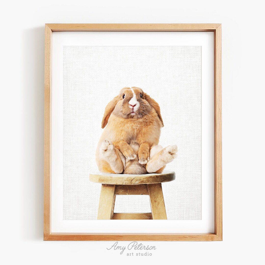 Pudge Bunny Rabbit Sitting on Stool Art as Seen in Homegoods, Woodland