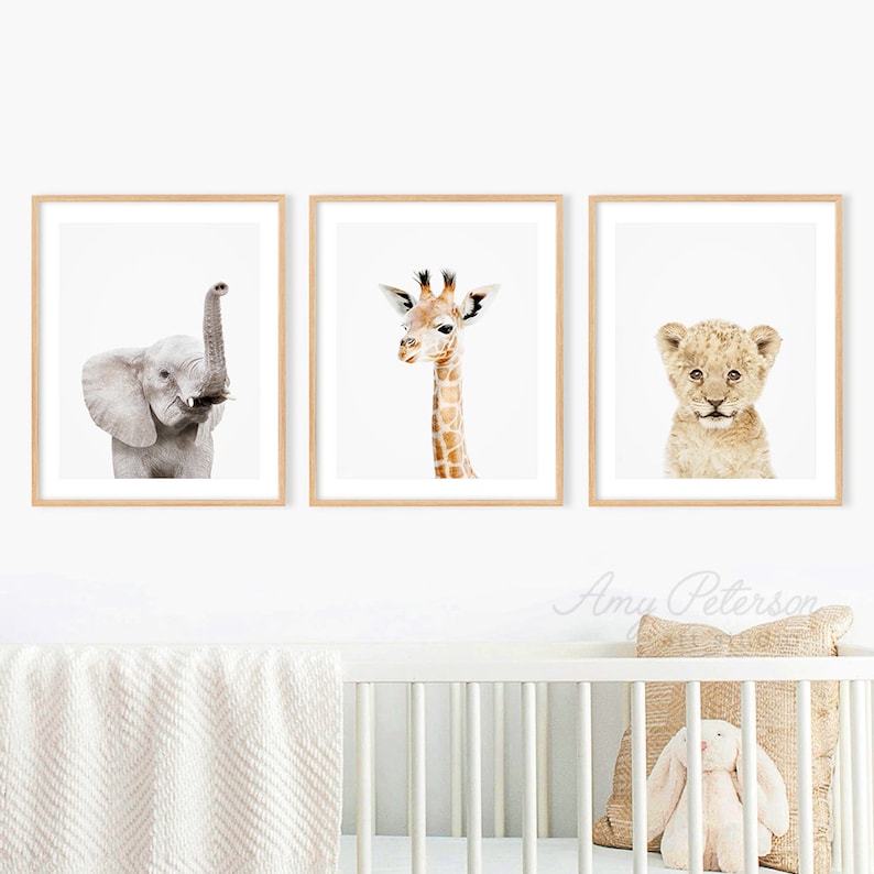 Baby Safari Animals Photos Print Set of 3, Nursery Wall Decor, Nursery Wall Art, Nursery Decor, Kids Room Wall Art by Amy Peterson 