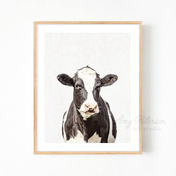 Black and White Cow Print Dairy Cow Wall Art Cow Art Print Etsy