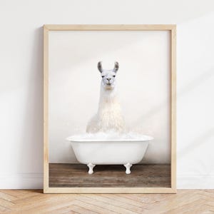 Llama in Bathtub Art Print: Rustic Bathroom Wall Decor