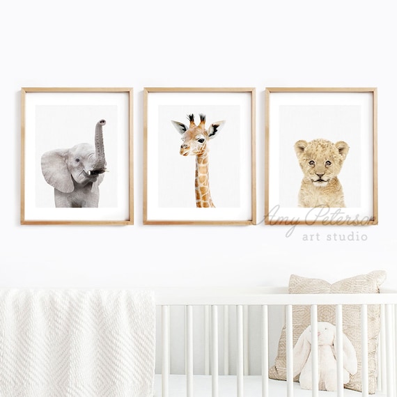 Baby Safari Animals Photos Print Set Of 3 Nursery Wall Decor - Baby Wall Art For Nursery Baby Safari Animals Photos Print Set Of 3 Nursery Wall Decor - Baby Wall Art For Nursery