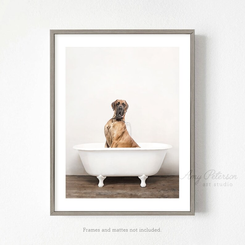 Great Dane Dog in a Vintage Bathtub Bathroom Art Whimsy Etsy
