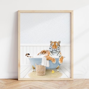 Bengal Tiger in Bathtub Art Print: Cottage Blue Bathroom Wall Decor