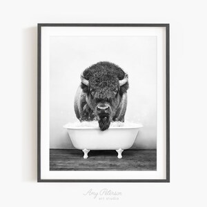 Bison in a Vintage Bathtub, Rustic Bath Style in Black and White, Bathroom Wall Art, Unframed Print, Animal Art by Amy Peterson