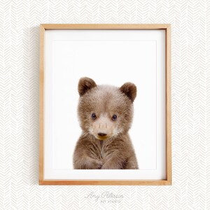 Baby Bear Cub, Woodland Nursery Art, Baby Woodland Animal Nursery Decor, Unframed Print, Baby Animal Wall Art by Amy Peterson