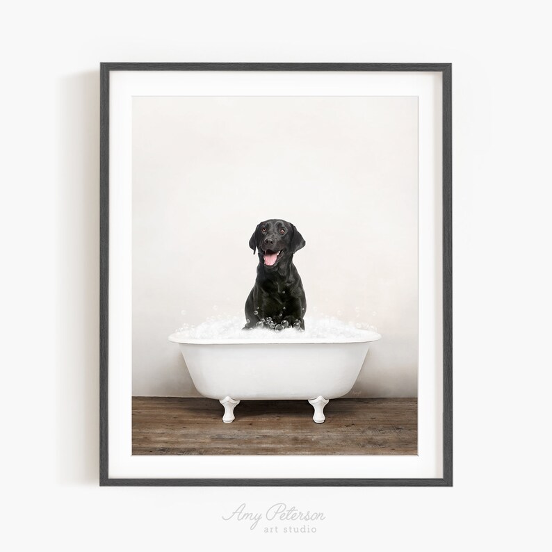 Black Labrador Dog in a Vintage Bathtub, Dog Taking Bath, Dog Art, Bathroom Wall Art, Unframed Print, Animal Art by Amy Peterson image 1