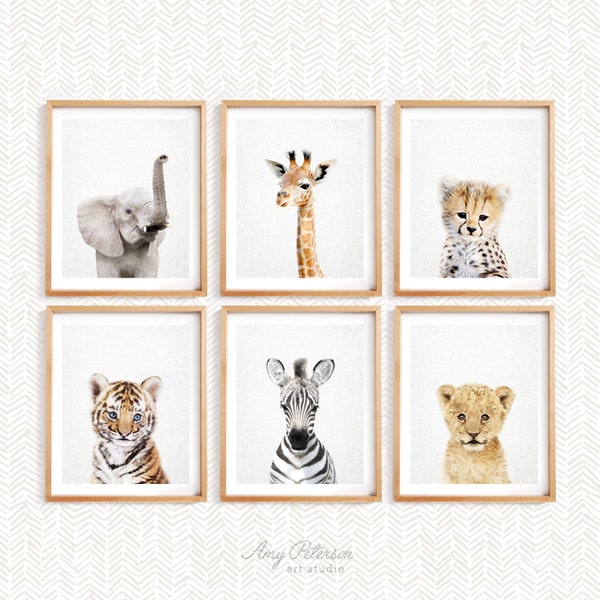 Set of 6 Baby Safari Animals for Nursery Animal Wall Art, Nursery Decor, Baby Animal Art, Unframed Animal Art Print by Amy Peterson