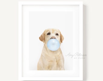 Yellow Lab Blowing Bubble Gum, Dog Art, Dog Portrait, Dog Wall Art, Unframed Print, Animal Art by Amy Peterson