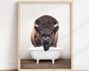 Bison in Bathtub Luster Photo Print: Rustic Bathroom Wall Art
