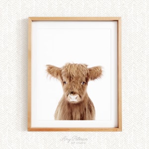 Baby Highland Cow, Baby Animal Nursery Wall Art, Animal Nursery Decor, Unframed Print, Baby Animal Wall Art by Amy Peterson