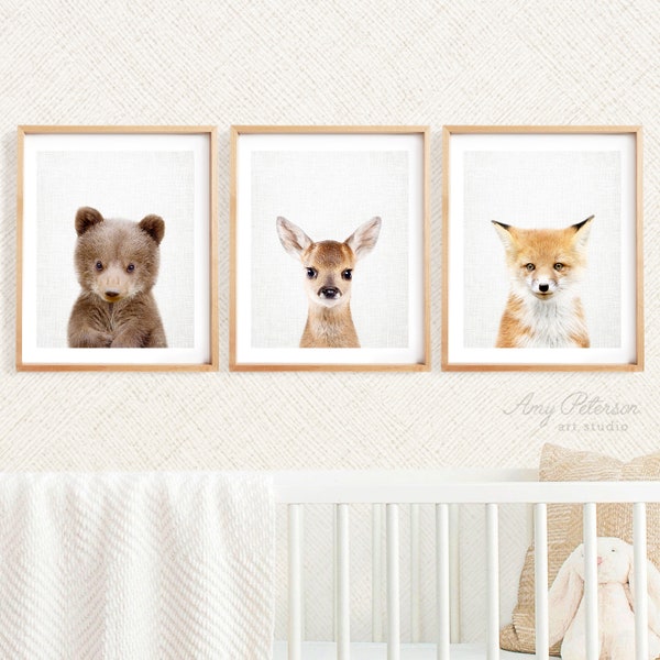 Set of 3 Baby Woodland Animals for Nursery Art, Nursery Animal Art, Nursery Decor Woodland Baby Animal Art by Amy Peterson