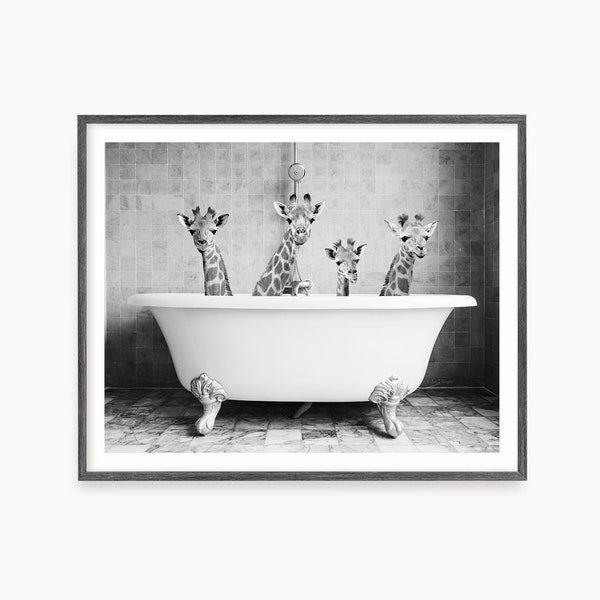 Four Giraffes in a Bath Art Print, Black and White Bathroom Wall Art, Baby Giraffe, Unframed Print, Animal Art by Amy Peterson