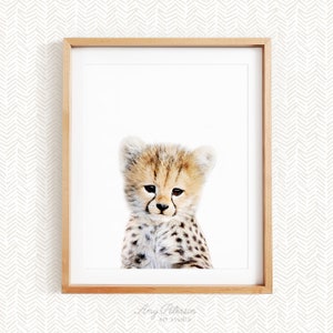 Baby Cheetah, Safari Animal Nursery Decor, Unframed Print, Baby Animal Wall Art by Amy Peterson