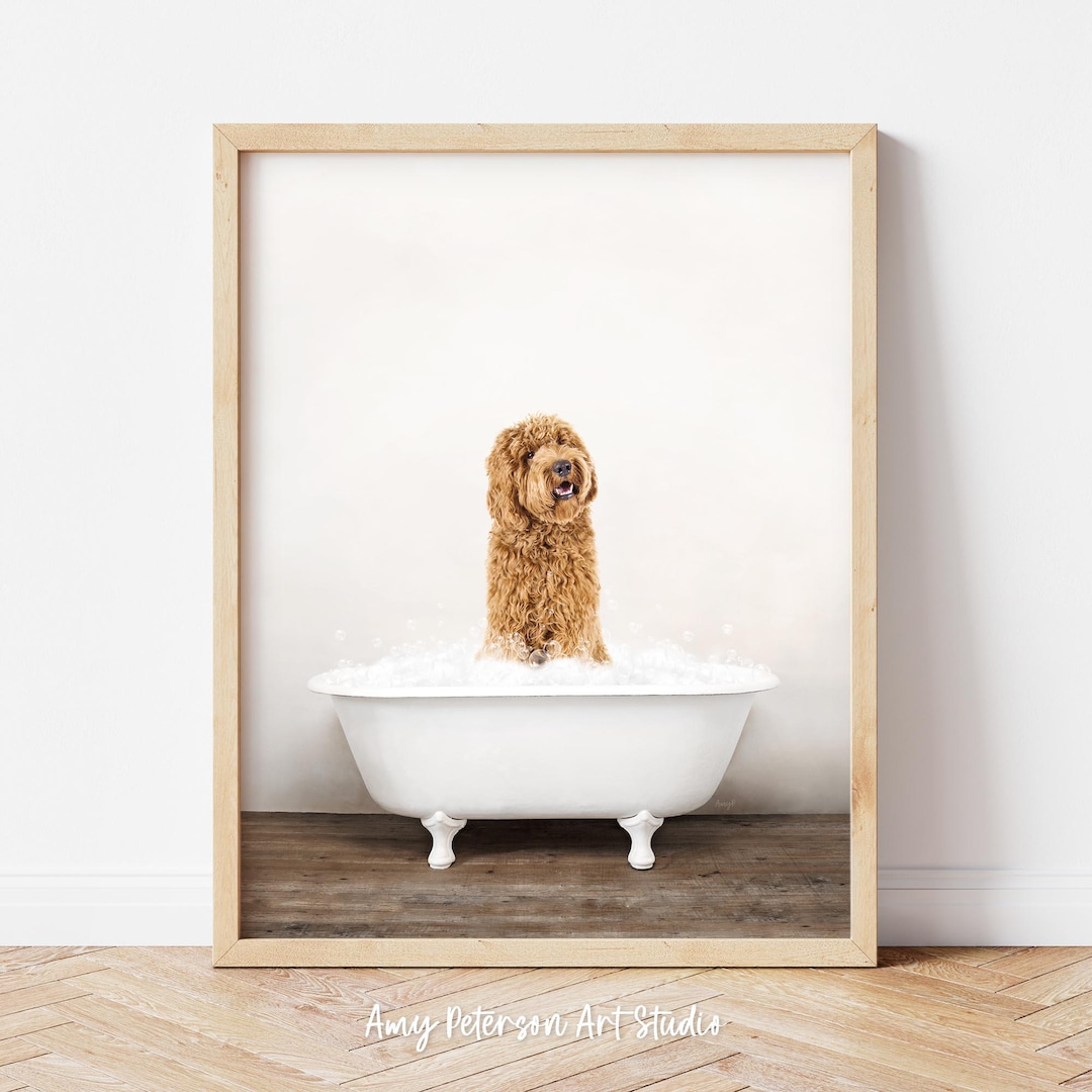 Golden Labradoodle Dog in a Vintage Bathtub, Dog Taking Bath, Dog Art,  Bathroom Wall Art, Animal Art by Amy Peterson - Etsy