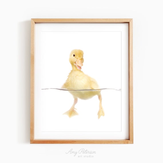 Baby Duck Printable – Paper Llamas