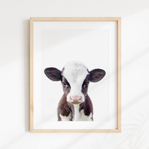 Baby Cow, Nursery Farm Animal Wall Art, Nursery Animal Nursery Decor, Baby Animal Wall Art by Amy Peterson