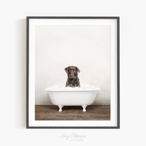 Chocolate Labrador Dog in a Vintage Bathtub, Dog Taking Bath, Dog Art, Bathroom Wall Art, Unframed Print, Animal Art by Amy Peterson