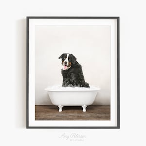 Bernese Mountain Dog in a Vintage Bathtub, Dog Taking Bath, Dog Art, Bathroom Wall Art, Unframed Print, Animal Art by Amy Peterson