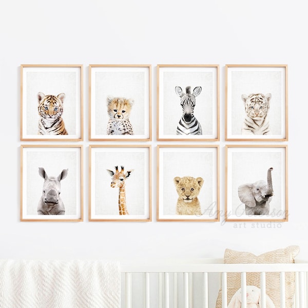 Set of 8 Baby Safari Animals for Nursery, Animal Wall Art, Nursery Decor, Baby Animal Art by Amy Peterson