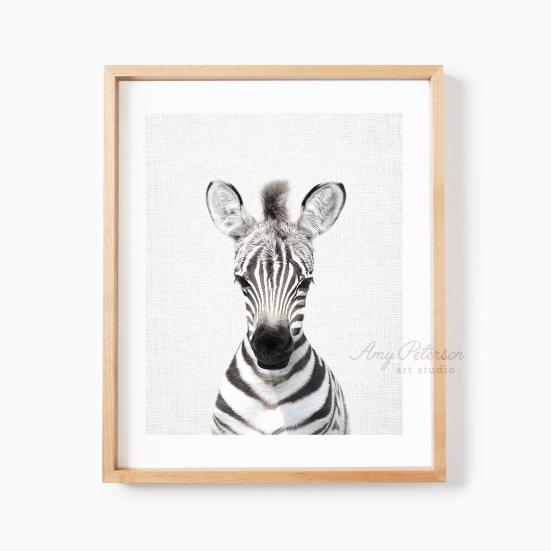 Baby Zebra Print Safari Animal Nursery Wall Art Nursery - Etsy