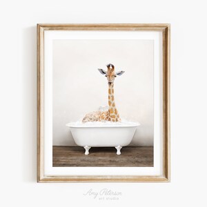 Giraffe in a Vintage Bathtub, Rustic Bath Style, Giraffe in Tub, Bathroom Wall Art, Unframed Print, Animal Art by Amy Peterson