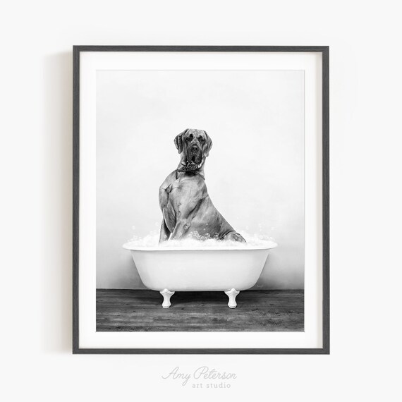 Great hotsell dane bath
