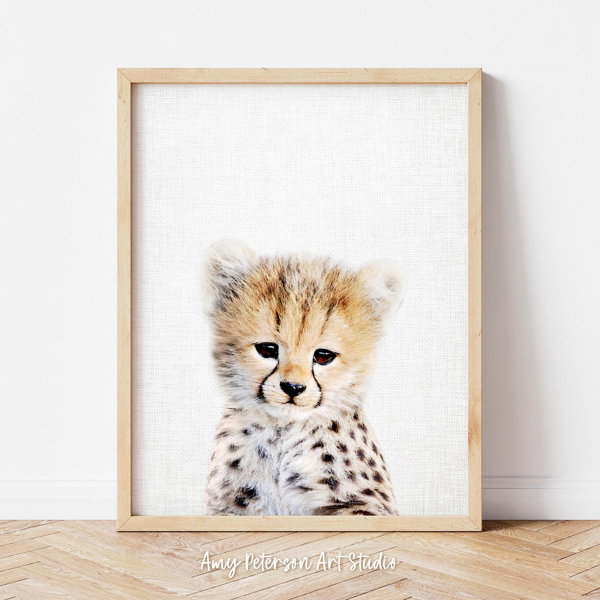 Smith Cheetah Archive Collectionサングラス。（Venture