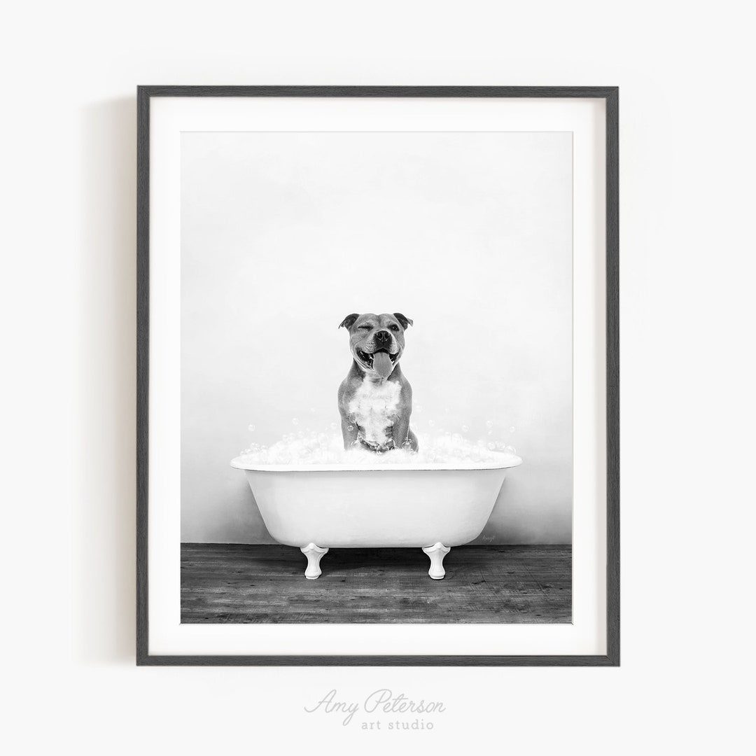 Bull Terrier Dog in a Vintage Bathtub, Dog Taking Bath, Dog Art