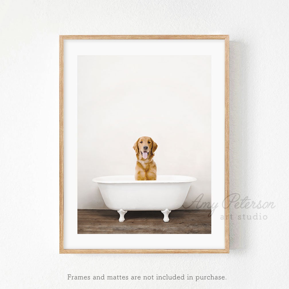 Amber Retriever in a Vintage Bathtub, Bathroom Wall Art, Dog in a Bat…