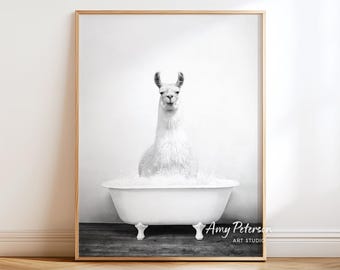 Llama in Bathtub Print: Rustic Bathroom Wall Art by Amy Peterson