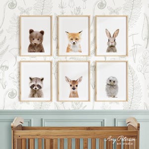 Woodland Animal Nursery Art Prints: Set of 6 Unframed Prints, Nursery Art Print Set of 6, Unframed
