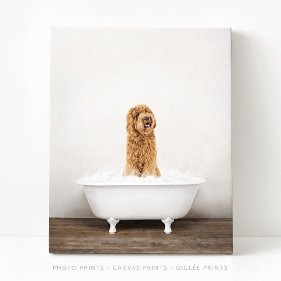 Dog bath top wall art
