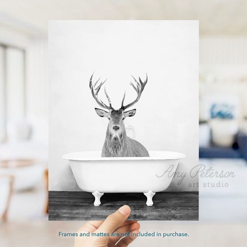 Male Deer in a Bathtub Taking a Bath Black and White ...