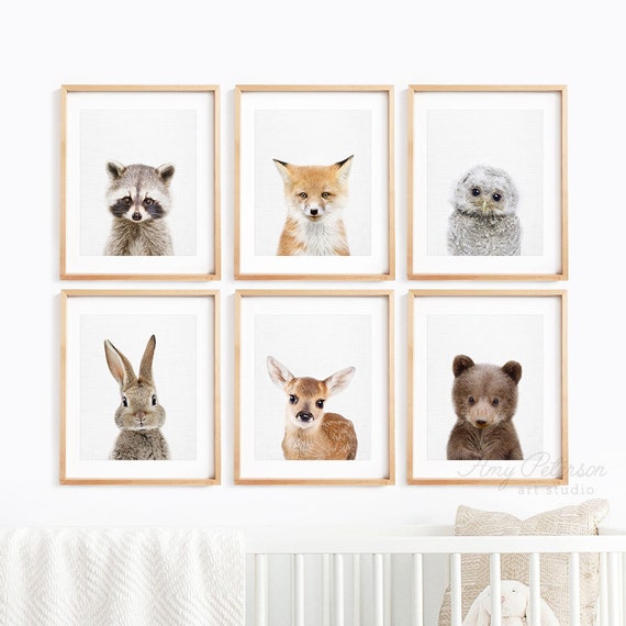framed baby animal prints