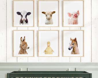 Baby Farm Animal Prints: Set of 6 Nursery Wall Art by Amy Peterson, Nursery Art Print Set of 6, Unframed