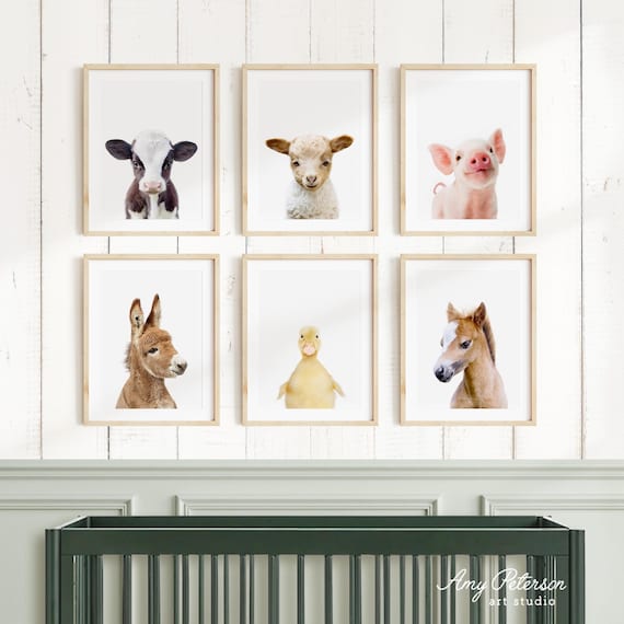 Baby Farm Animal Prints: Set of 6 Nursery Wall Art by Amy Peterson, Nursery Art Print Set of 6, Unframed