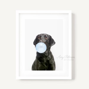 Black Labrador Dog Blowing Bubble Gum, Dog Art, Dog Portrait, Dog Wall Art, Unframed Print, Animal Art by Amy Peterson