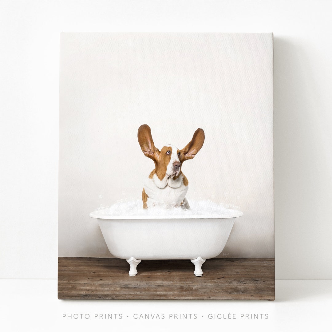 Basset Hound Dog in a Vintage Bathtub, Dog Taking Bath, Dog Art