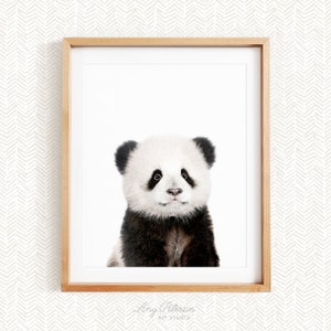 Baby Panda, Woodland Animal Nursery Decor, Unframed Print, Baby Animal Wall Art by Amy Peterson