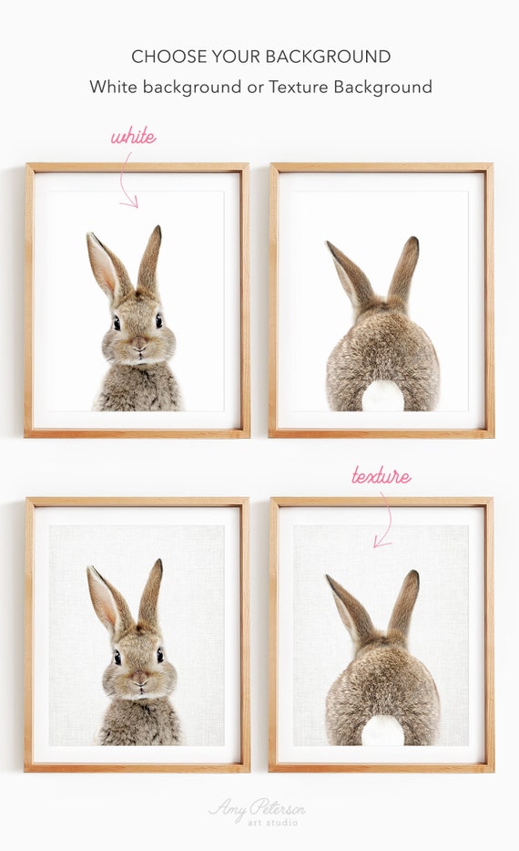 Bangladashe Smoll Gral Baby Xxx Video - Bunny Front & Back Set of 2 Photo Paper Prints Bunny Art - Etsy