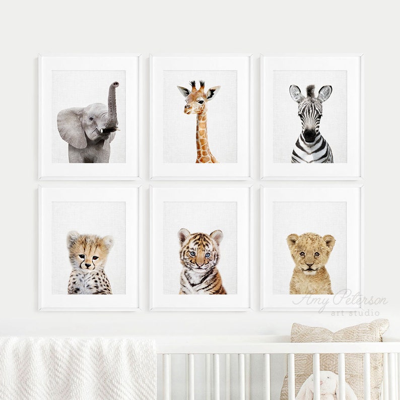 baby animal decor