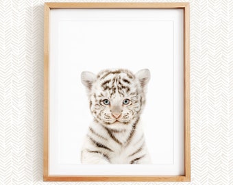 Baby White Tiger, Safari Animal Nursery Decor, Unframed Print, Baby Animal Wall Art by Amy Peterson