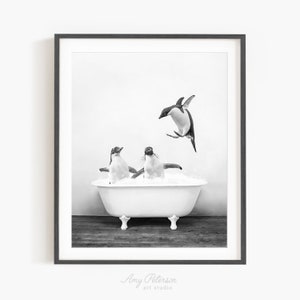 Pinguïns in een vintage badkuip, rustieke badstijl in zwart-wit, badkamermuurkunst, ingelijste print, dierenkunst door Amy Peterson